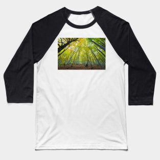 Green beech forest illuminated by the sun, low and wide angle view Baseball T-Shirt